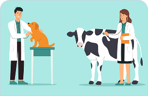 Paravet Services