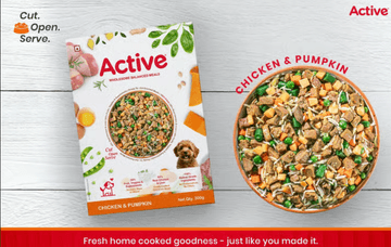 Active Chicken and Pumpkin Biryani Fresh Food For Dogs
