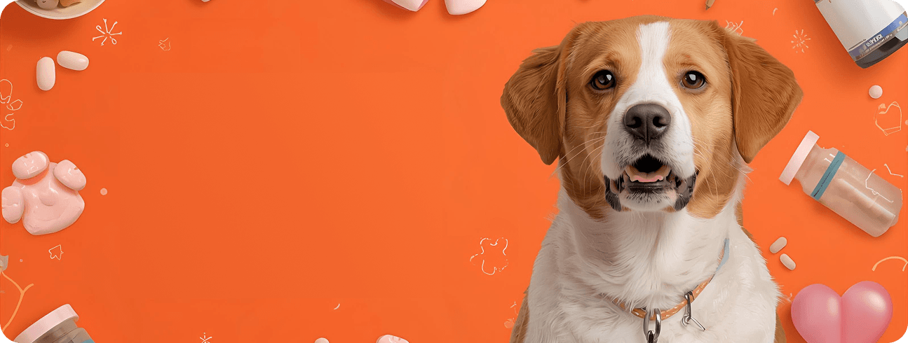 Dog Wellness Banner