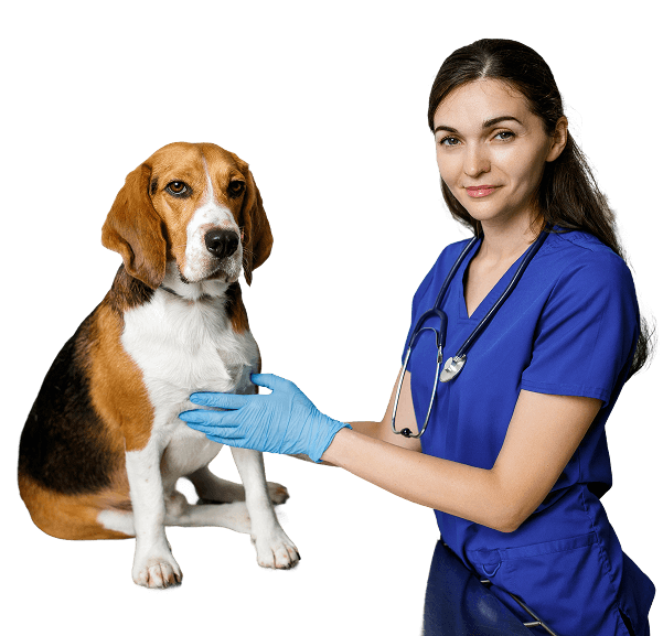 petcare